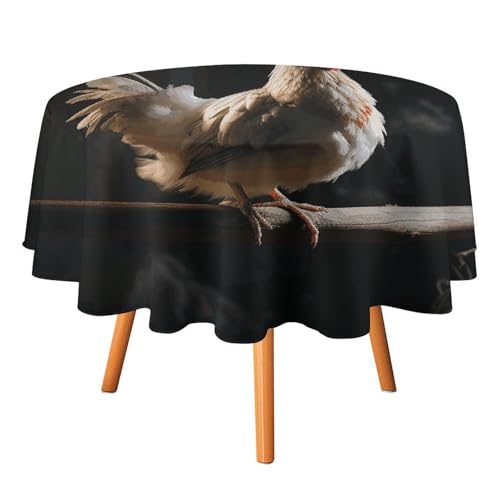 DDTKLSNV Runde Tischdecke, Huhn auf einem Ast, 127 x 127 cm, wasserdicht, knitterfrei, schmutzabweisend, waschbar, Tischdecke für Picknick, Party, Esszimmer, Heimdekoration DDTKLSNV Runde Tischdecke, Huhn auf einem Ast, 127 x 127 cm, wasserdicht, knitterfrei, schmutzabweisend, waschbar, Tischdecke für Picknick, Party, Esszimmer, Heimdekoration von DDTKLSNV