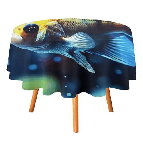 DDTKLSNV Runde Tischdecke mit Fischschwimmen, 91,4 x 91,4 cm, wasserdicht, knitterfrei, schmutzabweisend, waschbar, Tischdecke für Picknick, Party, Esszimmer, Heimdekoration DDTKLSNV Runde Tischdecke mit Fischschwimmen, 91,4 x 91,4 cm, wasserdicht, knitterfrei, schmutzabweisend, waschbar, Tischdecke für Picknick, Party, Esszimmer, Heimdekoration von DDTKLSNV