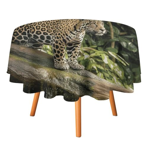 DDTKLSNV Runde Tischdecke mit Katze auf Baumstamm, Wasserfall, 91,4 x 91,4 cm, wasserdicht, knitterfrei, schmutzabweisend, waschbar, Tischdecke für Picknick, Party, Esszimmer, Heimdekoration von DDTKLSNV