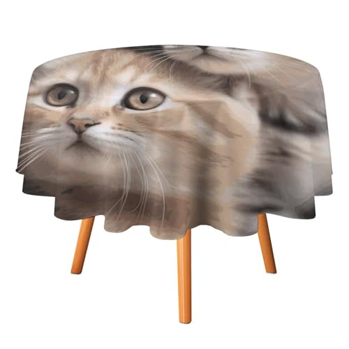 DDTKLSNV Runde Tischdecke mit Katzen, 127 x 127 cm, wasserdicht, knitterfrei, schmutzabweisend, waschbar, Tischdecke für Picknick, Party, Esszimmer, Heimdekoration von DDTKLSNV