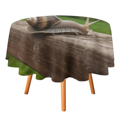 DDTKLSNV Runde Tischdecke mit Schnecke auf Holzgeländer, 152,4 x 152,4 cm, wasserdicht, knitterfrei, schmutzabweisend, waschbar, Tischdecke für Picknick, Party, Esszimmer, Heimdekoration DDTKLSNV Runde Tischdecke mit Schnecke auf Holzgeländer, 152,4 x 152,4 cm, wasserdicht, knitterfrei, schmutzabweisend, waschbar, Tischdecke für Picknick, Party, Esszimmer, Heimdekoration von DDTKLSNV