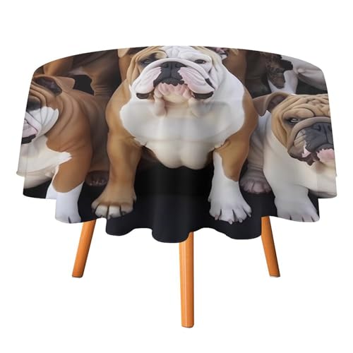 DDTKLSNV Runde Tischdecke mit englischen Bulldoggen, 152,4 x 152,4 cm, wasserdicht, knitterfrei, schmutzabweisend, waschbar, Tischdecke für Picknick, Party, Esszimmer, Heimdekoration DDTKLSNV Runde Tischdecke mit englischen Bulldoggen, 152,4 x 152,4 cm, wasserdicht, knitterfrei, schmutzabweisend, waschbar, Tischdecke für Picknick, Party, Esszimmer, Heimdekoration von DDTKLSNV