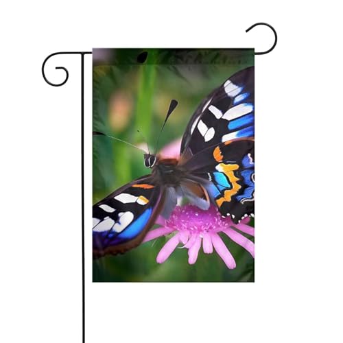 Gartenflagge, 30,5 x 45,7 cm, doppelseitig, vertikal, Willkommensflaggen, kein Verblassen, Hausflaggen, buntes Schmetterlings-Hof-Banner für saisonale Bauernhaus-Außendekoration Gartenflagge, 30,5 x 45,7 cm, doppelseitig, vertikal, Willkommensflaggen, kein Verblassen, Hausflaggen, buntes Schmetterlings-Hof-Banner für saisonale Bauernhaus-Außendekoration von DDTKLSNV