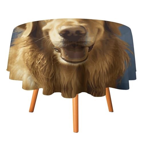 Golden Dog Runde Tischdecke, 127 x 127 cm, wasserdicht, knitterfrei, schmutzabweisend, waschbar, Tischdecke für Picknick, Party, Esszimmer, Heimdekoration Golden Dog Runde Tischdecke, 127 x 127 cm, wasserdicht, knitterfrei, schmutzabweisend, waschbar, Tischdecke für Picknick, Party, Esszimmer, Heimdekoration von DDTKLSNV