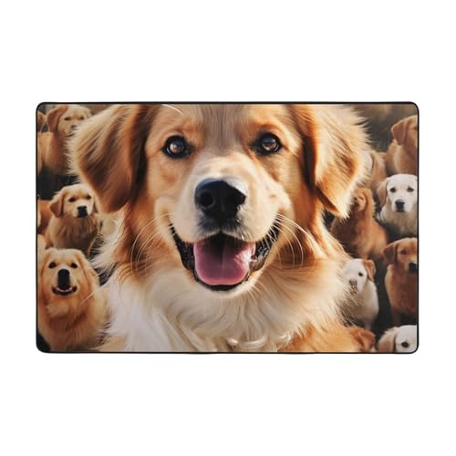 Moderner Teppich, Motiv: Dogs Retriever, kurzer Plüsch, ultraweich, waschbar, rutschfeste Fußmatten, Überwurf-Teppiche für Wohnzimmer, Schlafzimmer, Büro, Wohnheim, Heimdekoration, 91,4 x 61 cm Moderner Teppich, Motiv: Dogs Retriever, kurzer Plüsch, ultraweich, waschbar, rutschfeste Fußmatten, Überwurf-Teppiche für Wohnzimmer, Schlafzimmer, Büro, Wohnheim, Heimdekoration, 91,4 x 61 cm von DDTKLSNV