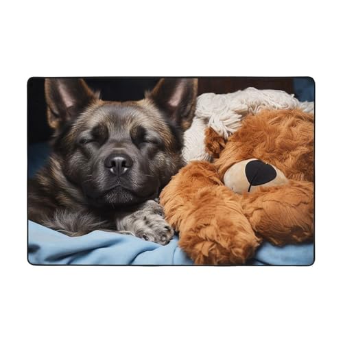 Moderner Teppich, Motiv: Hund schläft mit Bär, kurzer Plüsch, ultraweich, für Eingangsbereich, waschbar, rutschfeste Fußmatten, Überwurf, Teppiche für Wohnzimmer, Schlafzimmer, Büro, Wohnheim von DDTKLSNV