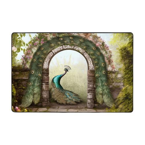 Moderner Teppich für den Garten, gewölbte Tür, Pfau, kurzer Plüsch, ultraweich, für Eingangsbereich, waschbar, rutschfest, für Wohnzimmer, Schlafzimmer, Büro, Wohnheim, Heimdekoration, 183 x 122 cm Moderner Teppich für den Garten, gewölbte Tür, Pfau, kurzer Plüsch, ultraweich, für Eingangsbereich, waschbar, rutschfest, für Wohnzimmer, Schlafzimmer, Büro, Wohnheim, Heimdekoration, 183 x 122 cm von DDTKLSNV