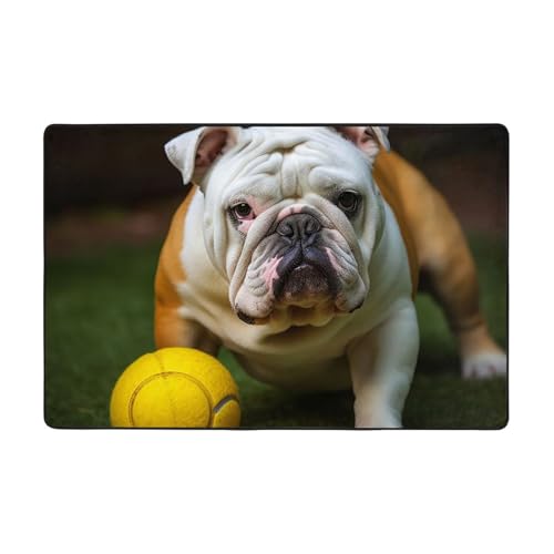 Moderner Teppich mit Bulldogge mit gelbem Ball, kurzer Plüsch, ultraweich, waschbar, rutschfeste Fußmatten, Überwurf-Teppiche für Wohnzimmer, Schlafzimmer, Büro, Wohnheim, Heimdekoration, 183 x 122 cm Moderner Teppich mit Bulldogge mit gelbem Ball, kurzer Plüsch, ultraweich, waschbar, rutschfeste Fußmatten, Überwurf-Teppiche für Wohnzimmer, Schlafzimmer, Büro, Wohnheim, Heimdekoration, 183 x 122 cm von DDTKLSNV