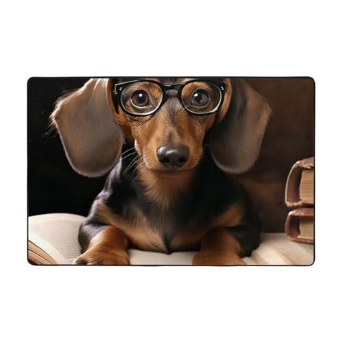 Moderner Teppich mit Dackel-Motiv, kurzer Plüsch, ultraweich, für Eingangsbereich, waschbar, rutschfeste Fußmatten, Überwurf-Teppiche für Wohnzimmer, Schlafzimmer, Büro, Wohnheim, Heimdekoration, 183 Moderner Teppich mit Dackel-Motiv, kurzer Plüsch, ultraweich, für Eingangsbereich, waschbar, rutschfeste Fußmatten, Überwurf-Teppiche für Wohnzimmer, Schlafzimmer, Büro, Wohnheim, Heimdekoration, 183 von DDTKLSNV