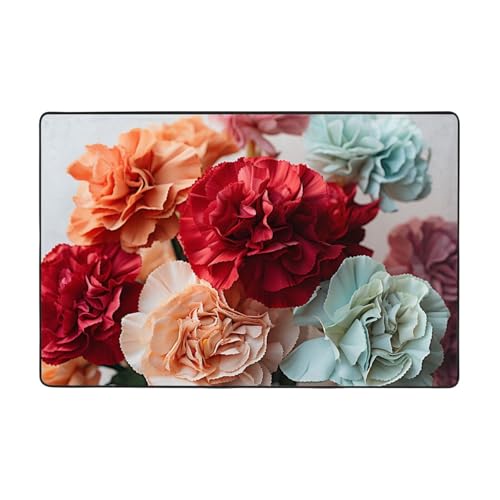 Moderner Teppich mit bunten Nelken und Blumen, kurzer Plüsch, ultraweich, für Eingangsbereich, waschbar, rutschfeste Fußmatten, Überwurf, Teppiche für Wohnzimmer, Schlafzimmer, Büro, Wohnheim Moderner Teppich mit bunten Nelken und Blumen, kurzer Plüsch, ultraweich, für Eingangsbereich, waschbar, rutschfeste Fußmatten, Überwurf, Teppiche für Wohnzimmer, Schlafzimmer, Büro, Wohnheim von DDTKLSNV