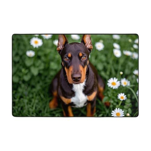 Niedlicher Haustier-Teppich, Motiv: Dobermann, moderner Teppich, kurzer Plüsch, ultraweich, für Eingangsbereich, waschbar, rutschfeste Fußmatten, Überwurf, Teppiche für Wohnzimmer, Schlafzimmer, Büro von DDTKLSNV