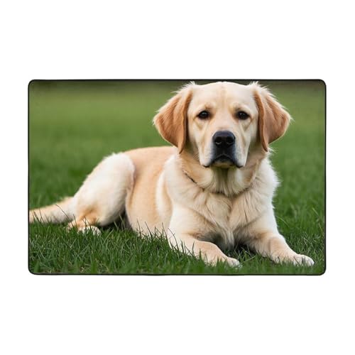 Niedlicher Labrador-Teppich, moderner Teppich, kurzer Plüsch, ultraweich, für Eingangsbereich, waschbar, rutschfeste Fußmatten, Überwurf, Teppiche für Wohnzimmer, Schlafzimmer, Büro, Wohnheim von DDTKLSNV