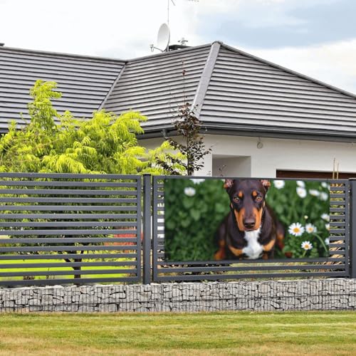 Niedliches Haustier-Banner und Schilder mit Dobermann-Motiv, Wandbehang, Banner mit Seil zum Aufhängen, 61 x 129 cm, Party-Banner, Schild, Poster, Party-Hintergründe, Innen- und Außenbereich, Neujahr Niedliches Haustier-Banner und Schilder mit Dobermann-Motiv, Wandbehang, Banner mit Seil zum Aufhängen, 61 x 129 cm, Party-Banner, Schild, Poster, Party-Hintergründe, Innen- und Außenbereich, Neujahr von DDTKLSNV