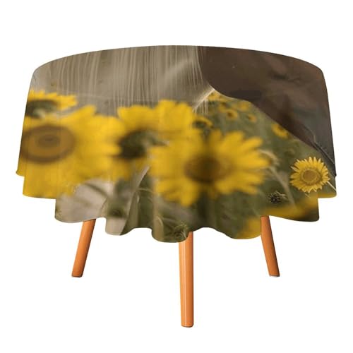 Runde Tischdecke mit Gänseblümchen und Pferden, 127 x 127 cm, wasserdicht, knitterfrei, schmutzabweisend, waschbar, Tischdecke für Picknick, Party, Esszimmer, Heimdekoration Runde Tischdecke mit Gänseblümchen und Pferden, 127 x 127 cm, wasserdicht, knitterfrei, schmutzabweisend, waschbar, Tischdecke für Picknick, Party, Esszimmer, Heimdekoration von DDTKLSNV