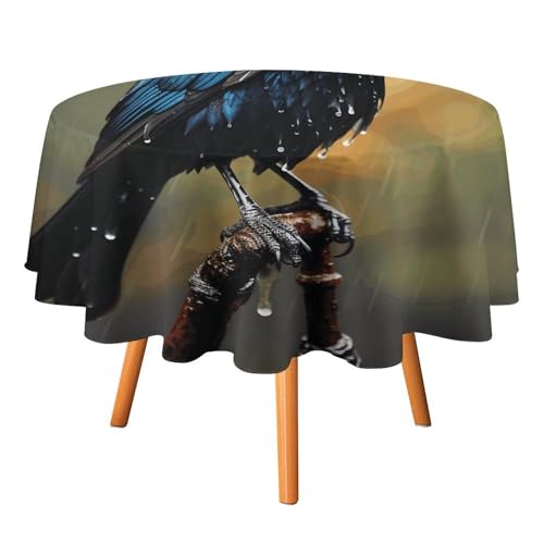 Runde Tischdecke mit Vogel am regnerischen Tag, 178 x 177,8 cm, wasserdicht, knitterfrei, schmutzabweisend, waschbar, Tischdecke für Picknick, Party, Esszimmer, Heimdekoration Runde Tischdecke mit Vogel am regnerischen Tag, 178 x 177,8 cm, wasserdicht, knitterfrei, schmutzabweisend, waschbar, Tischdecke für Picknick, Party, Esszimmer, Heimdekoration von DDTKLSNV
