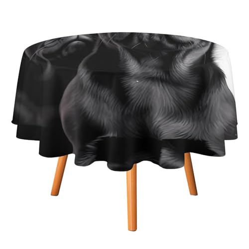Runde Tischdecke mit niedlichem Mops, 152,4 x 152,4 cm, wasserdicht, knitterfrei, schmutzabweisend, waschbar, Tischdecke für Picknick, Party, Esszimmer, Heimdekoration Runde Tischdecke mit niedlichem Mops, 152,4 x 152,4 cm, wasserdicht, knitterfrei, schmutzabweisend, waschbar, Tischdecke für Picknick, Party, Esszimmer, Heimdekoration von DDTKLSNV