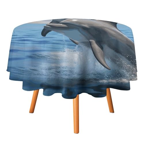 Runde Tischdecke mit zwei Delfinen, 127 x 127 cm, wasserdicht, knitterfrei, schmutzabweisend, waschbar, Tischdecke für Picknick, Party, Esszimmer, Heimdekoration Runde Tischdecke mit zwei Delfinen, 127 x 127 cm, wasserdicht, knitterfrei, schmutzabweisend, waschbar, Tischdecke für Picknick, Party, Esszimmer, Heimdekoration von DDTKLSNV