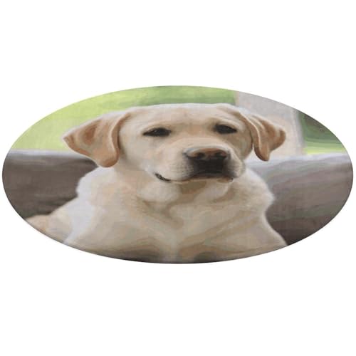Runder Teppich mit niedlichem Labrador-Motiv, rutschfest, weich, waschbar, saugfähig, für Küche, Schlafzimmer, Badezimmer, Heimdekoration, 61 x 61 cm von DDTKLSNV