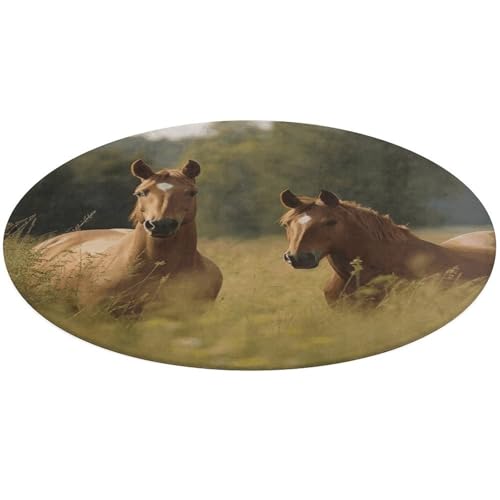 Teppich mit Pferd im Gras, rund, rutschfest, weich, waschbar, saugfähig, für Küche, Schlafzimmer, Badezimmer, Heimdekoration, 61 x 61 cm von DDTKLSNV