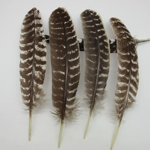 DDYZM Echte natürliche Adlerfedern 16-18 Zoll (20-40CM) Top Eagle Vogelfeder für Hochzeitsdekoration DIY Schmuck Plume-25-30CM 10-12Zoll, 10 STK von DDYZM