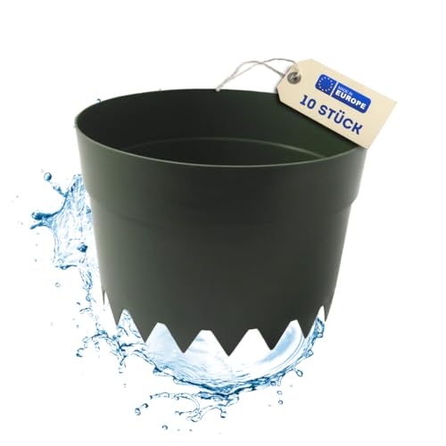 De-Plastik AQUARING 10-er Set | Ø 20 cm | Grün | Gießring | Bewässerungsring zur optimalen Bewässerung Ihrer Pflanzen | Pflanzring | Schädlingsschutz De-Plastik AQUARING 10-er Set | Ø 20 cm | Grün | Gießring | Bewässerungsring zur optimalen Bewässerung Ihrer Pflanzen | Pflanzring | Schädlingsschutz von De-Plastik