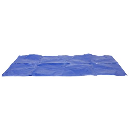 DEARMAMY Klebematte 60X120cm Antistatische Staubschutzmatte für Reinräume Hochviskoses Selbstklebendes Bodenpad für Bauwesen und Büros Staubentfernungsmatte für Empfindliche Bereiche DEARMAMY Klebematte 60X120cm Antistatische Staubschutzmatte für Reinräume Hochviskoses Selbstklebendes Bodenpad für Bauwesen und Büros Staubentfernungsmatte für Empfindliche Bereiche von DEARMAMY