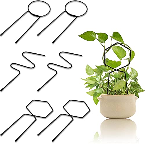 DEAYOU 6er-Pack Spalier für Topfpflanzen, kleines Metallspalier, Mini-Pflanzenkletterhilfe Gartenspalier für Blumentöpfe, Hoya, Zimmerpflanze, Indoor-Outdoor-Reben Gemüse, Efeu, Schwarz, 28 x 10 cm von DEAYOU