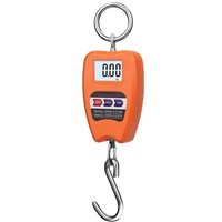 DEBUNS Professionelle Industrie-Digitalwaage, Federhaken, 200 kg von DEBUNS