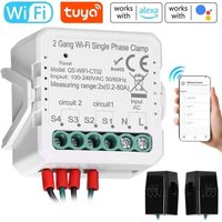 Tuya WiFi 2-Gang 80A Einphasenklemme Solar PV Zweiwege-Bidirektionaler Energiezähler Mobile App-Steuerung Stromwandler Zeitschaltuhr von DEBUNS