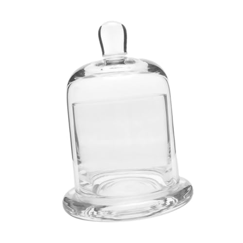 DECHOUS 1 Satz Glasglocke Cupcake-Stand-Abdeckung Zitronenhalter Dessert-Display Zitronenschale Aus Glas Klare Display-Cloche Kerzenhalter Aus Glas Mit Glocke Konservierte Gewidmet DECHOUS 1 Satz Glasglocke Cupcake-Stand-Abdeckung Zitronenhalter Dessert-Display Zitronenschale Aus Glas Klare Display-Cloche Kerzenhalter Aus Glas Mit Glocke Konservierte Gewidmet von DECHOUS