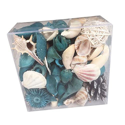 DECHOUS 1stk Sea Shell Diffusor Dekoration Für Zu Hause Natürliche Muschelanhänger Muschel-Potpourri-Tasche Nautische Potpourri-Tasche Pflanzen Getrocknete Blumen Hülse von DECHOUS