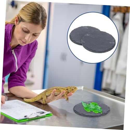 DECHOUS 2 Stück Reptilien Sonnenplatz aus Natürlichem Stein Temperaturerhaltende Nagelschärfende Plattform für Schildkröten Geckos und Terrarium Dekoration DECHOUS 2 Stück Reptilien Sonnenplatz aus Natürlichem Stein Temperaturerhaltende Nagelschärfende Plattform für Schildkröten Geckos und Terrarium Dekoration von DECHOUS