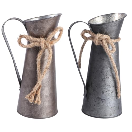 DECHOUS 2 Stück Teiliges Retro Blumentopf aus Eisen Vintage Blumen Eimer im Europäischen Landhausstil Wetterbeständig für Innen Außendekoration für Ablage und Schreibtisch von DECHOUS