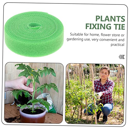 DECHOUS 4 Rollen Wiederverwendbare Nylon Pflanzenbinder Flexibles Gartenpflanzenband für Rankhilfe Baumfixierung und Kletterpflanzen Vielseitig Einsetzbar für Innen Außenbereich DECHOUS 4 Rollen Wiederverwendbare Nylon Pflanzenbinder Flexibles Gartenpflanzenband für Rankhilfe Baumfixierung und Kletterpflanzen Vielseitig Einsetzbar für Innen Außenbereich von DECHOUS