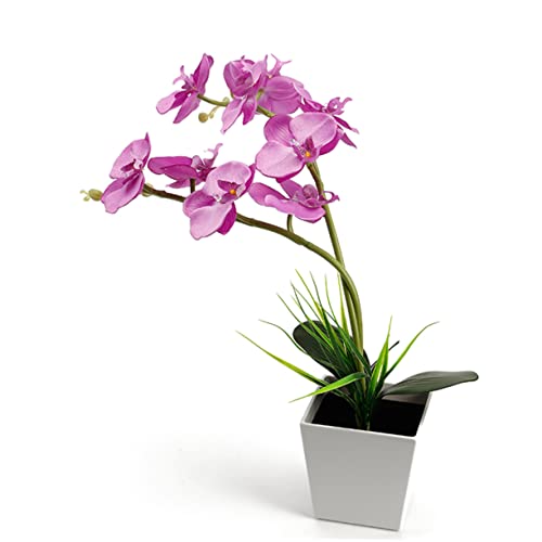 DECHOUS 9 Töpfe für Pflanzen künstliche Orchideen mit Vase künstliche blüten Artificial Flower The purg kunstpflanze Orchidee Licht Orchidee LED-Licht Phalaenopsis Anlage Laterne Violett von DECHOUS