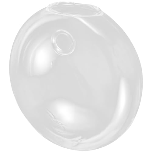 DECHOUS Hängende Glasblumenvase Transparent Hydroponik Pflanzer Wanddeko Platzsparend für Kleine Räume Stilvolles Design Einfache Pflanzenpflege von DECHOUS