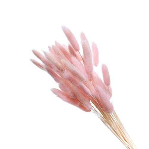 Hasenschwanzgras Getrockneter Blumenstrauß Hasenschwanzblumen Rosa Natürliches Blumenarrangement Strauß für Hochzeit Bauernhaus DIY-Tischdekoration von DECHOUS