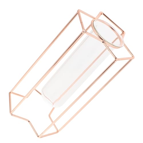 DECHOUS Hydrokultur-pflanzgefäße Aus Glas Blumenvase Reagenzglasvase Glasvase Ornament Transparente Glasvase Desktop-pflanzenterrarium Krugvase Eisen Roségold Büro Hydroponischer Behälter von DECHOUS