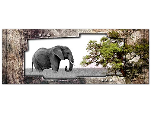 Bild aus Aluminium, Wanddekoration, Druck auf Alu-Dibond, Dekobild, Alu-Panel, Panoramabild Afrikanische Landschaft, Elefant, 120 x 50 cm von DECLINA