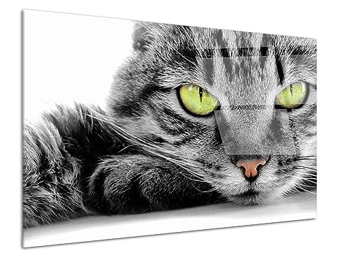 DECLINA Bild Plexi, Druck auf Acrylglas, Wandbild, moderne Dekoration, Dekobild, Plexiglas, Motiv: Katze mit grünen Augen, 80 x 50 cm von DECLINA