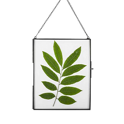 DÉCOCO 25x20cm Black Hanging Floating Glass Photo Frame Wall Gold Geometric Ornament Plant Specimen Clip Decor Card Artwork Certificate Picture Display Holder, Glass Frame Only von DÉCOCO