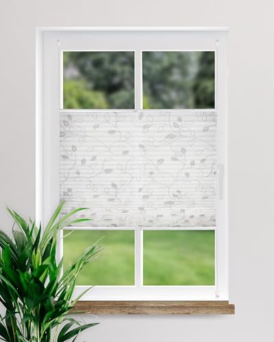DECOLIA by Garesa Fenster Klemmfix Plissee ohne Bohren Motiv Ranke 120 x 130 cm, Grau - Lichtdurchlässiger Fenster Sichtschutz und Fenster Deko, Faltrollo DECOLIA by Garesa Fenster Klemmfix Plissee ohne Bohren Motiv Ranke 120 x 130 cm, Grau - Lichtdurchlässiger Fenster Sichtschutz und Fenster Deko, Faltrollo von DECOLIA