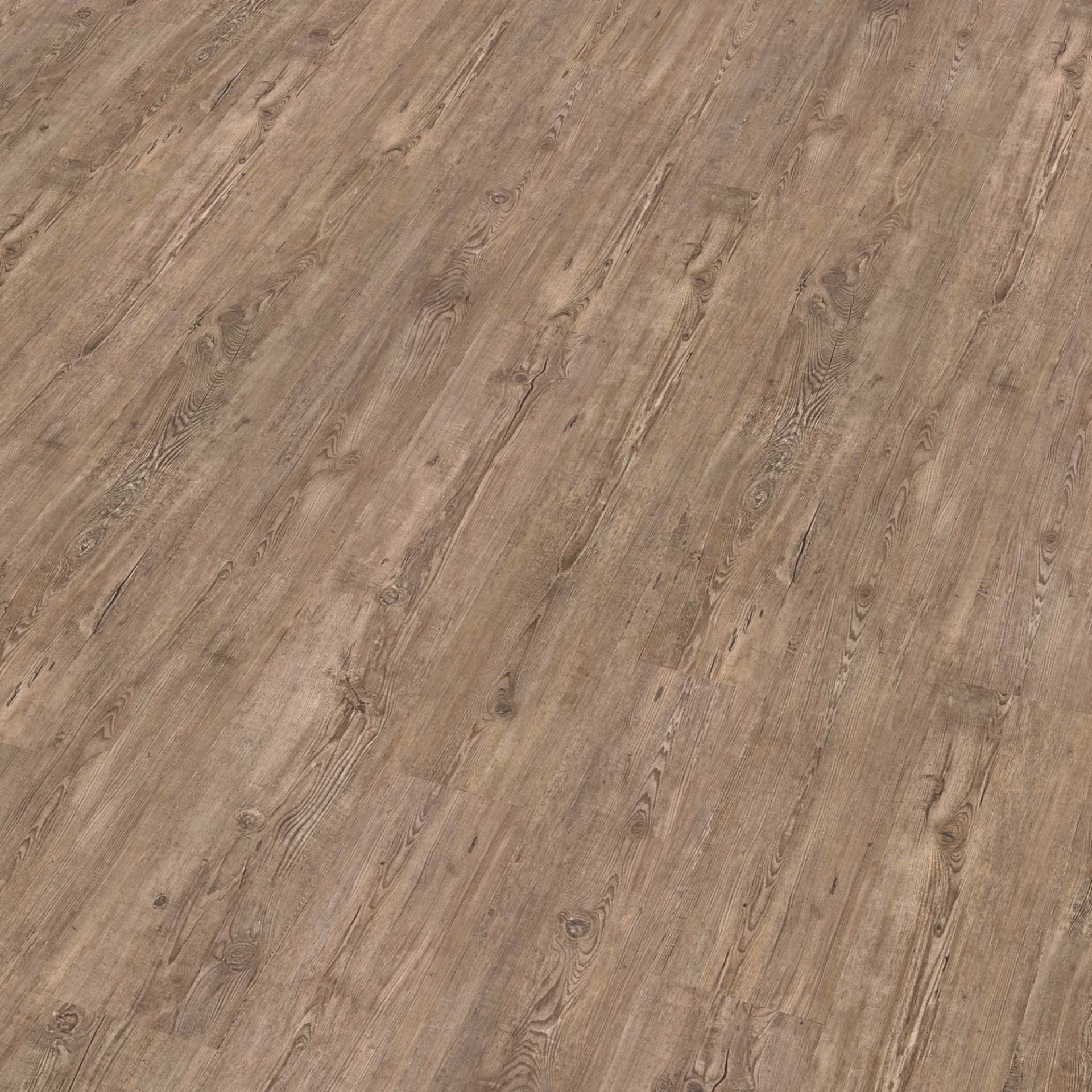 DECOLIFE Vinylboden 'Comfort' Tuscan Pine graubraun 10,5 mm von DECOLIFE