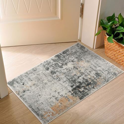 DECOMALL Teresa Fußmatte Abstrakt,Wasserabweisender Türmatte, Teppich Kurzflor, Vorleger für Eingang, Haustür, Flur, Küche, Grau 50x80cm von DECOMALL