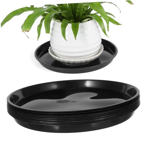 DECOMELODY 10 Stück Runde Pflanzentöpfe Untersetzer Wasserablauf Trays Kunststoff für Blumentöpfe für und Außenbereich mit Strapazierfähiger Bauweise und Einfachem Reinigungssystem DECOMELODY 10 Stück Runde Pflanzentöpfe Untersetzer Wasserablauf Trays Kunststoff für Blumentöpfe für und Außenbereich mit Strapazierfähiger Bauweise und Einfachem Reinigungssystem von DECOMELODY