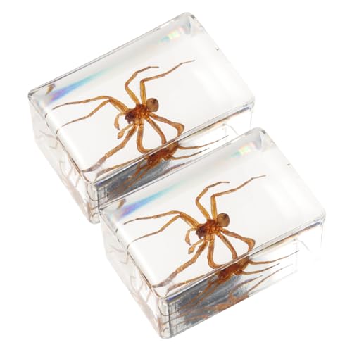 DECOMELODY 2 Stück Handgefertigtes Spinnen Resin Transparente Insekten Dekoration Filigranes Tisch Ornament für Büro Bibliothek und Zuhause Einzigartiges Sammlerstück DECOMELODY 2 Stück Handgefertigtes Spinnen Resin Transparente Insekten Dekoration Filigranes Tisch Ornament für Büro Bibliothek und Zuhause Einzigartiges Sammlerstück von DECOMELODY