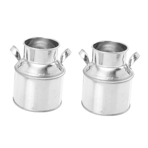 DECOMELODY 2 Stück Vintage Mini Blumentöpfe aus Metall Dekorative Pflanzkübel mit Retro Look Robuste Übertopf für Bonsai Indoor und Garten Vielseitige Pflanzbehälter für Tischdekoration von DECOMELODY