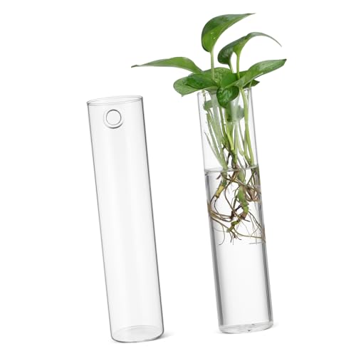DECOMELODY 2 Stück Zylindrische Glas wandvase Transparente Hängende Hydroponik Pflanzenhalter Minimalistisches Design Einfach zu Reinigen für Blumen und Wasserpflanzen Dekoration von DECOMELODY