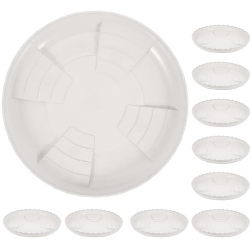 DECOMELODY 20 Stück Teiliges Pflanzenschalen Kunststoff Runde Untersetzer für Blumentöpfe Langlebig und Bruchsicher für und Außenbereich Schützt vor Wasserschäden DECOMELODY 20 Stück Teiliges Pflanzenschalen Kunststoff Runde Untersetzer für Blumentöpfe Langlebig und Bruchsicher für und Außenbereich Schützt vor Wasserschäden von DECOMELODY