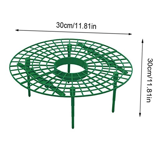 DECOMELODY 3 Stück Teiliges Erdbeer Rankgitter Langlebigem Kunststoff Umweltfreundlicher Kletterrahmen Praktischer Pflanzstütze für Saubere Gesunde Beeren für und Kletterpflanzen Einfach DECOMELODY 3 Stück Teiliges Erdbeer Rankgitter Langlebigem Kunststoff Umweltfreundlicher Kletterrahmen Praktischer Pflanzstütze für Saubere Gesunde Beeren für und Kletterpflanzen Einfach von DECOMELODY